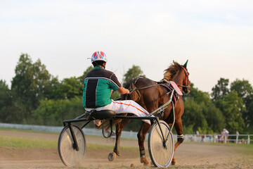 Fototapeta na wymiar Horse racing in summer, Russia, Chuvash Republic