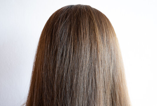 Back of the head of Asian woman with her thick hair.
