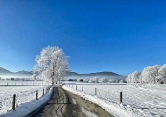 Straße an einem eisig kalten Wintertag mit reifbedeckten Bäumen und strahlend blauem Himmel im Leitzachtal bei Fischbachau, Bayern, Deutschland