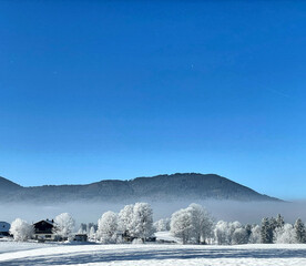 Eisig kalter Wintertag mit reifbedeckten Bäumen und strahlend blauem Himmel im Leitzachtal bei Fischbachau, Bayern, Deutschland - obrazy, fototapety, plakaty