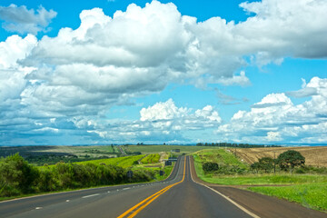 Fototapeta premium road in the countryside