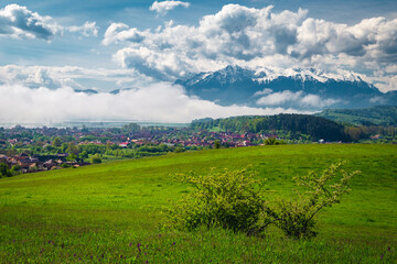 Misty spring landscape with green fields and snowy mountains, Romania