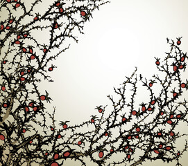 Branch of Blackthorn. Vector drawing
