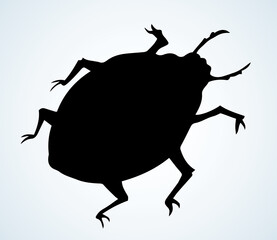 Colorado beetle. Vector drawing bug