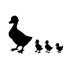 Mother duck with ducklings. Vector outline drawing