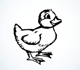 Cute duckling. Vector outline drawing