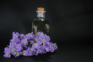 Lavender oil in glass bottle near fresh lavender flowers on black background