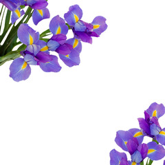 bouquet of irises