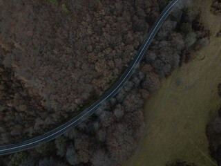 Aerial view of a road passing through a forest 