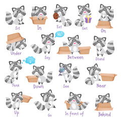 Cute Racoon Character with Striped Tail with Carton Box as English Word Demonstration Big Vector Set