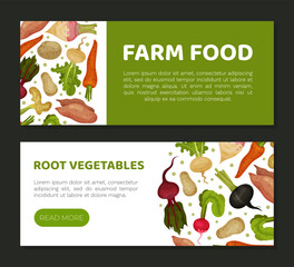 Obraz premium Root Vegetables Banner Design with Ripe Agricultural Crops Vector Template