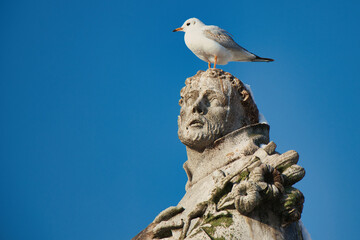 Obraz premium Statue of St. Philip Benitius on Charles bridge, Prague. Czech Republic.