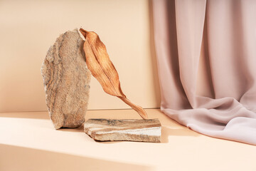 Composition empty podium material tree stone dry flowers. Beautiful beige background made of...