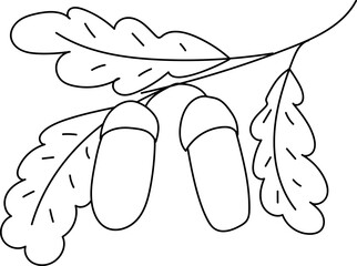 autumn vector illustration contour branch of acorns with leaves