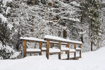 An old wooden bridge in the forest. Winter landscape.