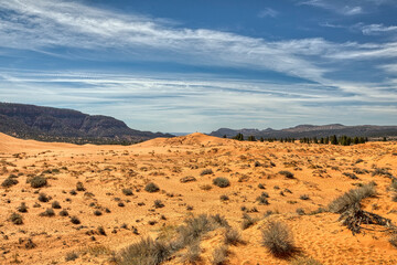 Fototapeta na wymiar Pink Coral Sand Dunes-Utah