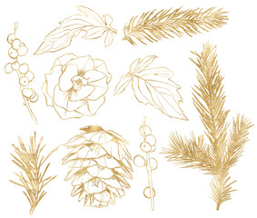 Watercolor Christmas set of gold flower, line art pine cone and spruce branch. Hand painted plant isolated on white background. Floral holiday illustration for design, print, fabric or background. - obrazy, fototapety, plakaty