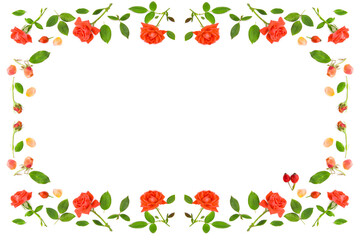 Flowers, petals and buds of roses isolated on a white background. Pattern. Beautiful frame with empty space for congratulatory text.