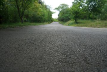 empty new Asphalt road among the summer forest.