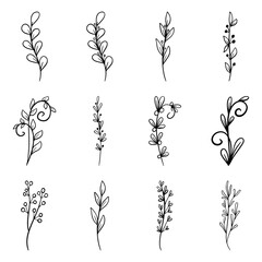 Set of Hand drawn doodle vector leaves and branches. Floral, plant elements