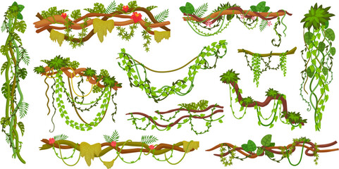 Jungle creepers. Cartoon creeper plant, tree branch hanging vines rainforest thicket, twisted floral liana with green forest ivy climbing vegetation, ingenious vector illustration - obrazy, fototapety, plakaty