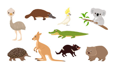 Cute Australian animals set. Funny cartoon Wallaby, Tasmanian devil, koala, crocodile, cockatoo parrot, ostrich emu, platypus, echidna, wombat. Vector illustration. - obrazy, fototapety, plakaty