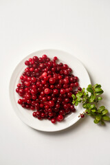 juicy lingonberries in a white plate on a white background