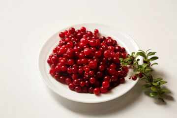 lingonberries in a white plate on a white background