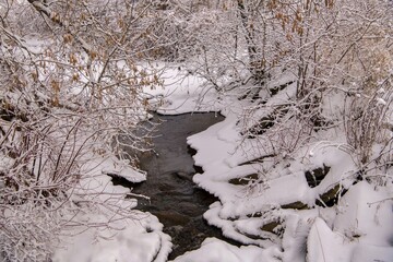 creek covered with snow