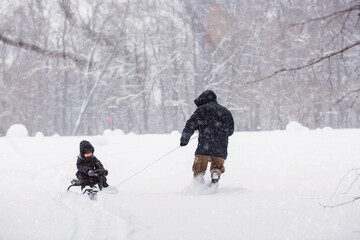 Father and son are walking in Tsaritsyno Park in a heavy snowfall. A father pulls his little son on a sled in a winter park.