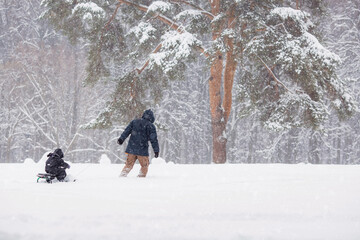 Father and son are walking in Tsaritsyno Park in a heavy snowfall. A father pulls his little son on a sled in a winter park.