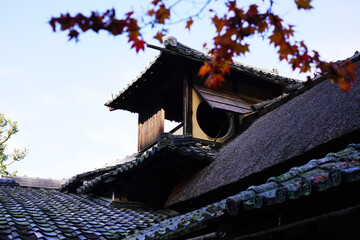 日本の秋景色。
色とりどりの自然の草花。
心癒される自然。