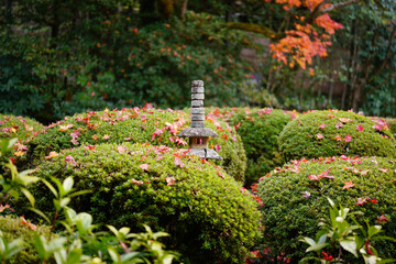 日本の秋景色。
色とりどりの自然の草花。
心癒される自然。