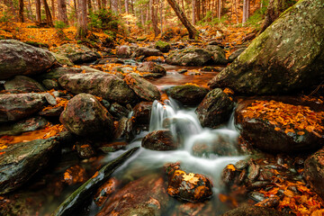 waterfall in autumn forest