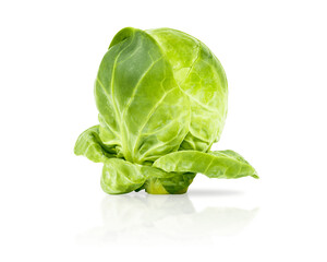 Fototapeta premium beautiful fresh green Brussels sprouts one piece, isolated, with shadow and reflection