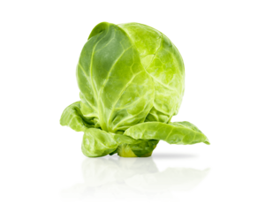 beautiful fresh green Brussels sprouts one piece, isolated, with shadow and reflection