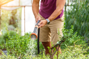 Man waters indoor plants grown in industrial greenhouses from a hose with a shower sprayer.