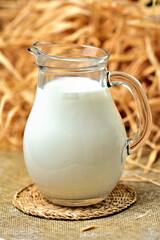 Healthy fresh cow milk in a transparent glass jug. Dry straw and hay as decoration in the background. Close-up. Vertical photo.