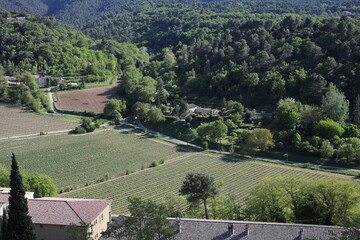 Fototapeta na wymiar Menerbes - Luberon - Vaucluse - Provence-Alpes-Côte d'Azur - France
