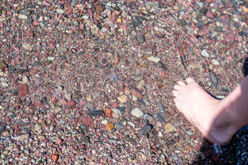 Barefoot toes in Rainbow multi-colored rocks in Avalanche creek leading towards Lake McDonald at Glacier National Park, Montana, USA