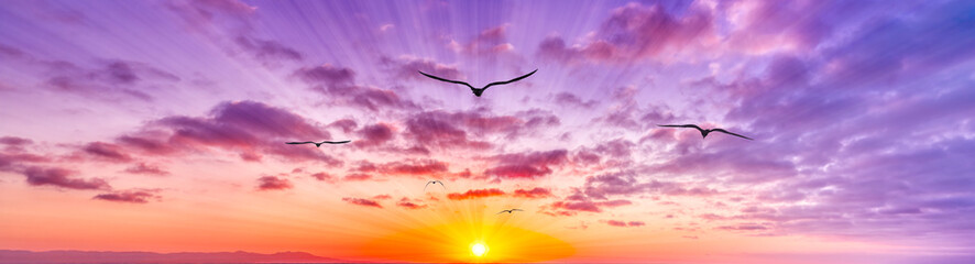 Sunset Bird Surreal Inspirational Nature Abstract Banner
