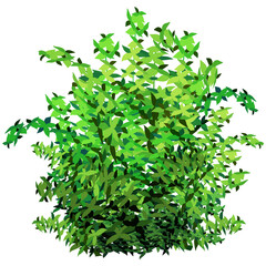 Fototapeta premium Soft shadow form window and plants, light overlay effect. Scenes of natural lighting.Effect Template for social media backgrounds, product presentations, photo shots.