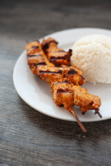 Chicken Kabob 