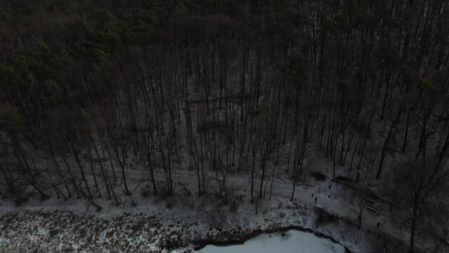 Winterwald und gefrorener See mit Drohne