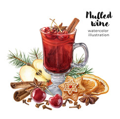 Watercolor illustration of Christmas mulled red wine, recipe set isolated on white background. Glass of mulled red wine, fruits and spices. Christmas composition set.