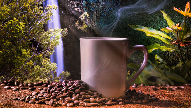 coffee beans in a cup