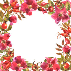 Obraz na płótnie Canvas Rosehip Frame. Flowers, leaves and fruits of wild roses, watercolor illustration isolated on white background.