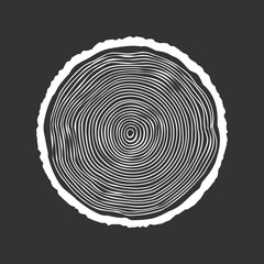 Fototapeta premium Round tree trunk cut, sawn pine or oak slice. Saw cut timber, wood. White wooden texture with tree rings. Hand drawn sketch. Vector illustration