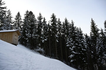 winter in the mountains