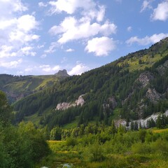 landscape in the mountains